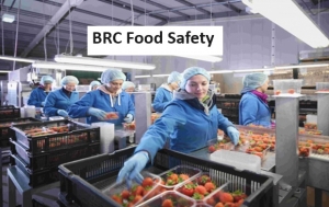 BRC Food Safety Issue 9 and Its Requirements