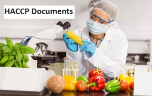 How HACCP Certification Process Work?